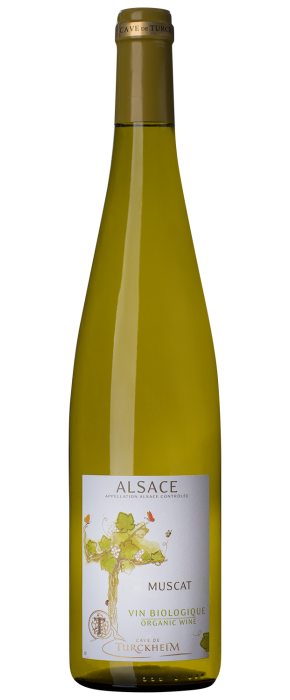 Muscat Bio Alsace
