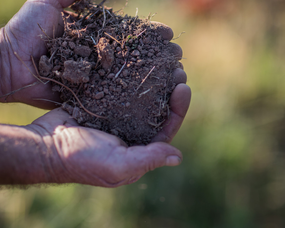 Une approche environnementale pionnière