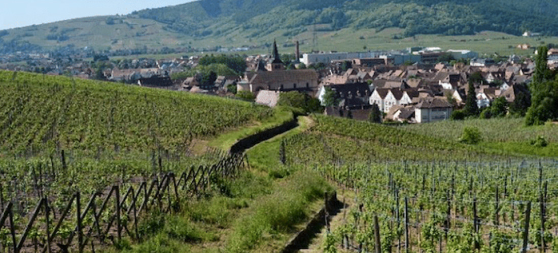 Que faire à Turckheim ? Visites, vignoble et dégustation