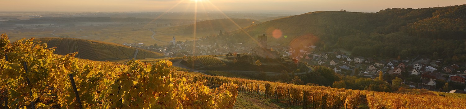 Grand Cru Wineck Schlossberg