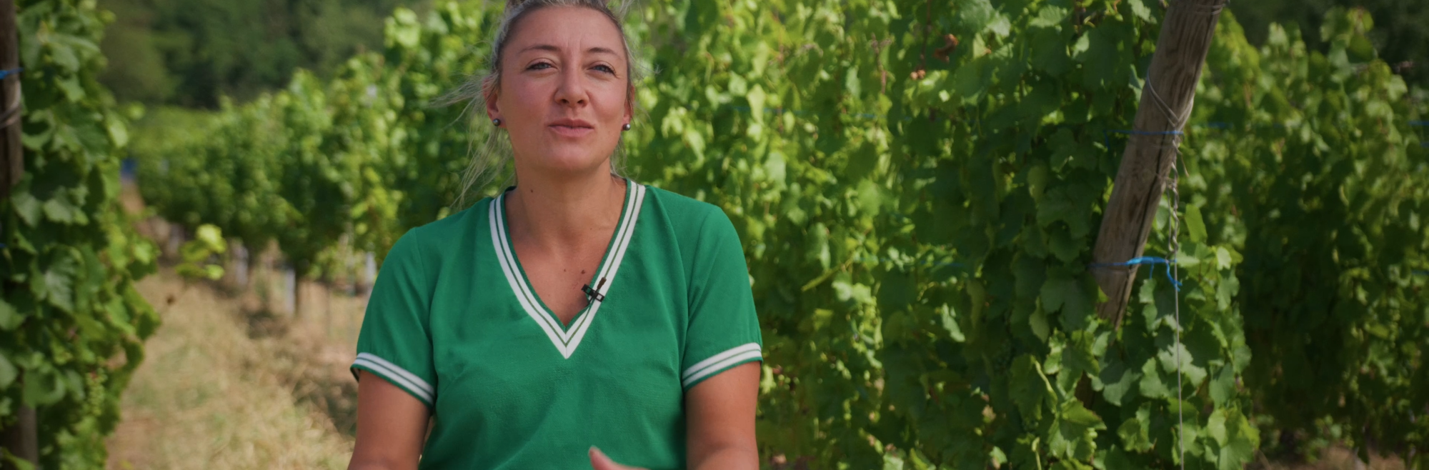 8 vignerons, 8 regards sur 70 ans de passion