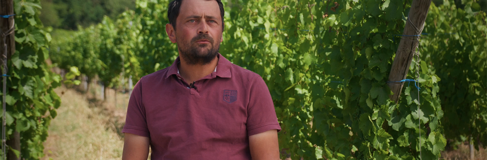 8 vignerons, 8 regards sur 70 ans de passion