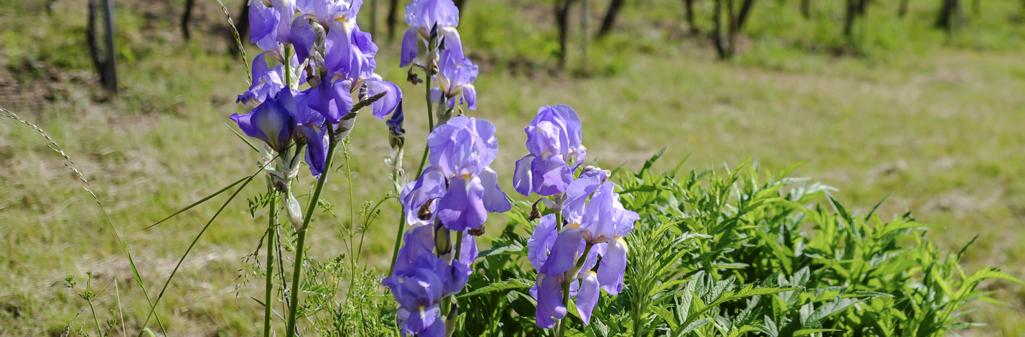 Créer un avenir durable