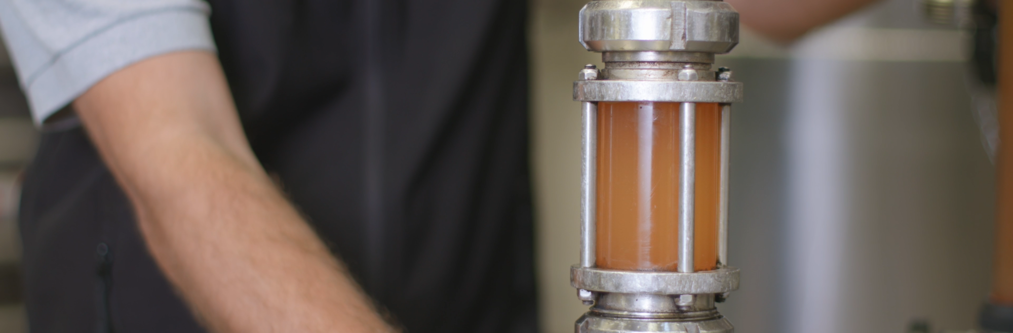 Les étapes de la vinification