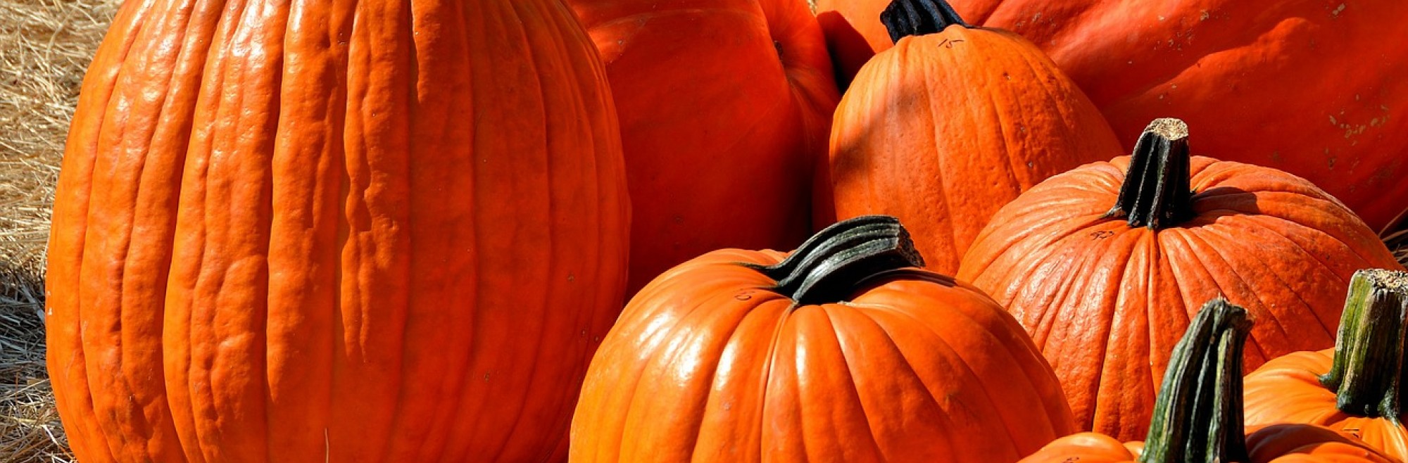 Amuse-Bouches d’Halloween