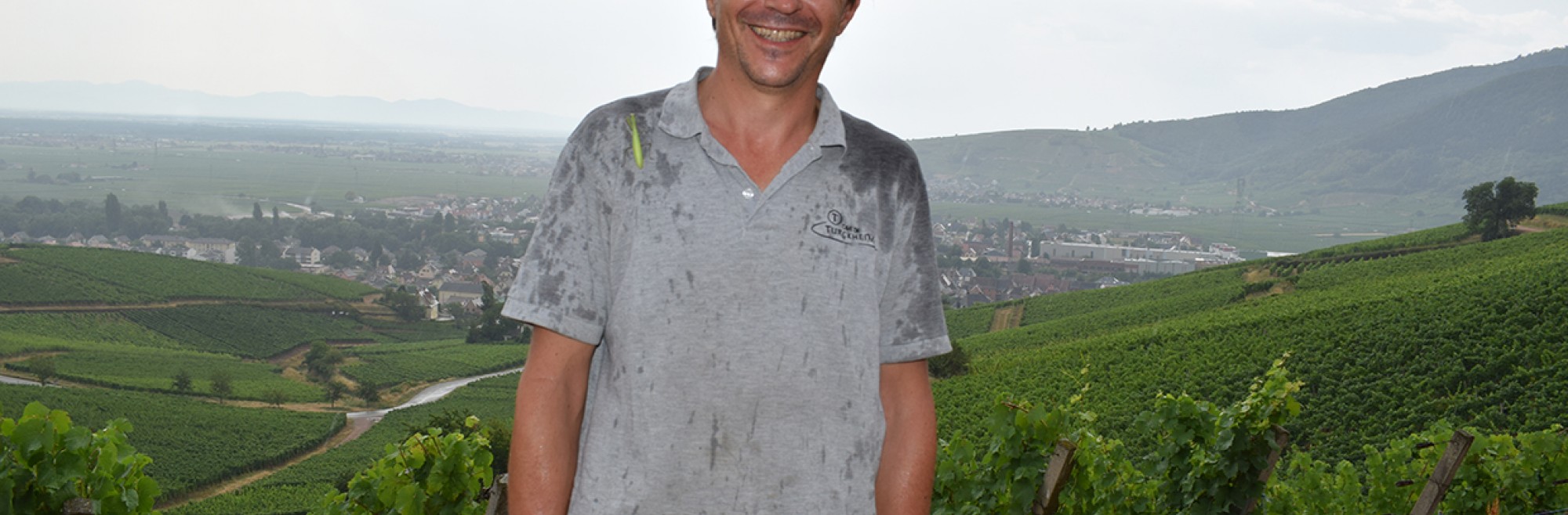 Une sauterelle dans les vignes : une rencontre porte-bonheur