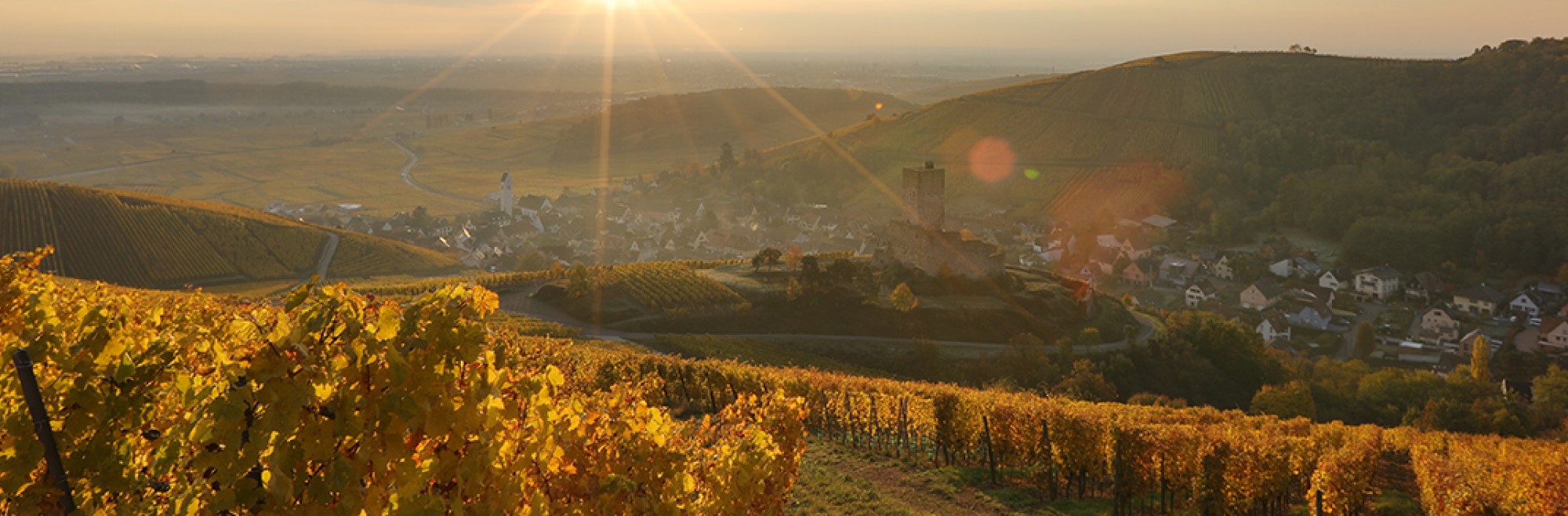 Grand Cru Wineck Schlossberg