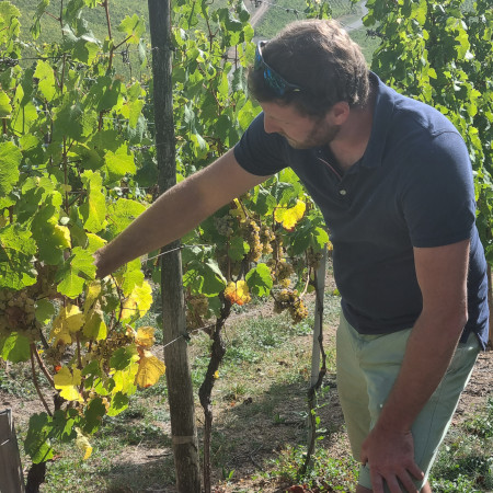 Le Riesling T