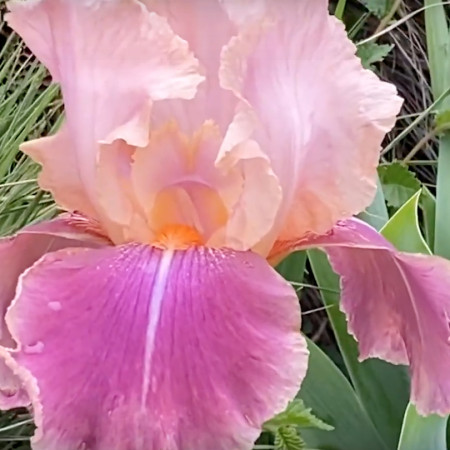 Créer un avenir durable