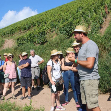 Que faire à Turckheim ? Visites, vignoble et dégustation