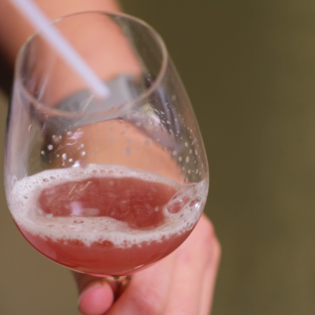 Les étapes de la vinification