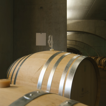 Les étapes de la vinification