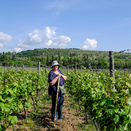 Que faire à Turckheim ? Visites, vignoble et dégustation