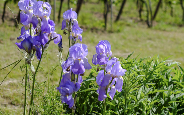 Créer un avenir durable