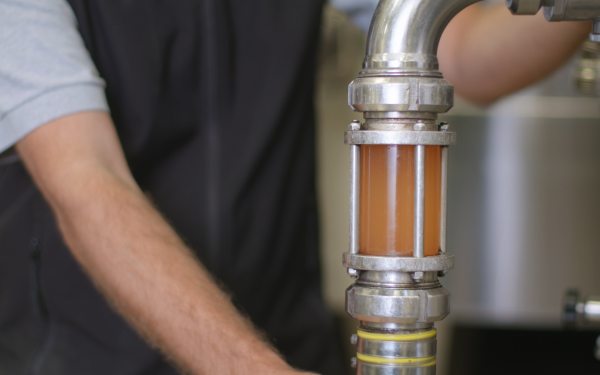 Les étapes de la vinification