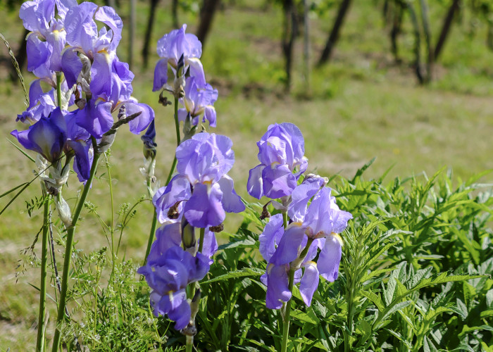 Créer un avenir durable