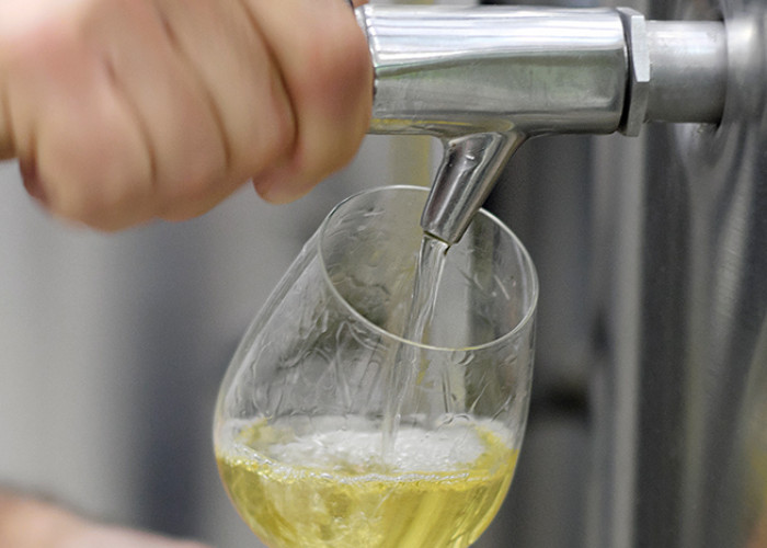 Les étapes de la vinification
